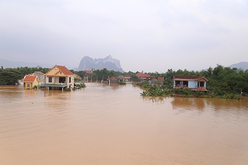 nhieu-nguoi-quang-binh-an-com-trang-mi-tom-song-tren-mai-nha-2