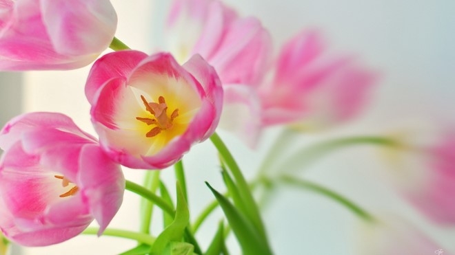 Tu vi thu sau ngay 4/11 cua cac cung hoang dao hinh anh 1