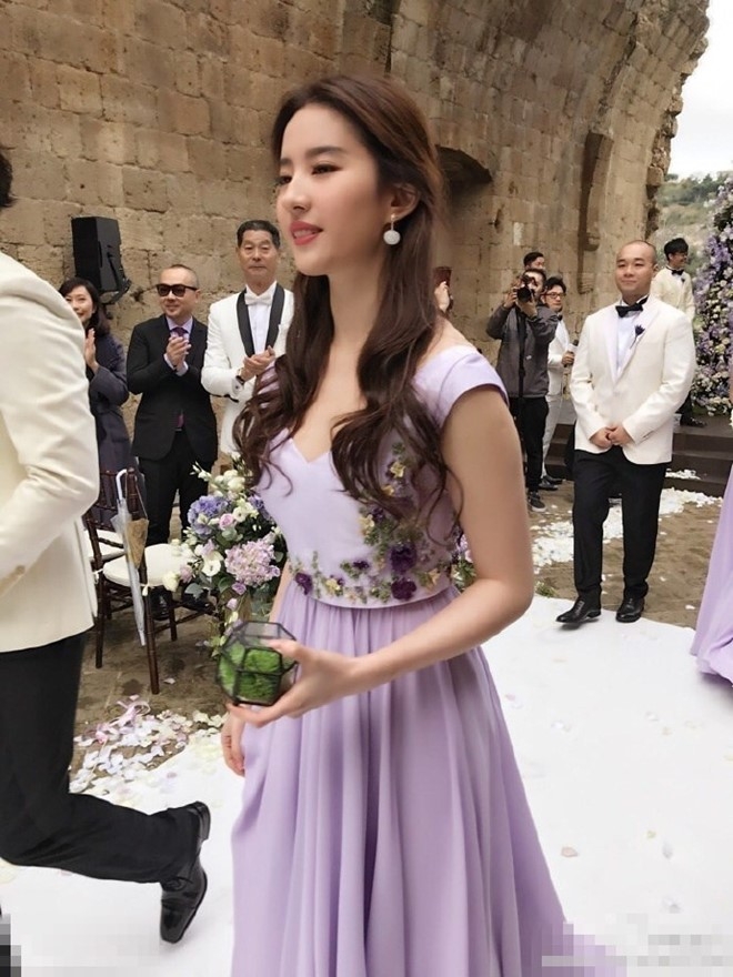 Luu Diec Phi la phu dau cho diva khong moi me du dam cuoi hinh anh 4