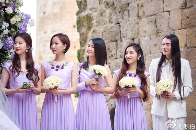 Luu Diec Phi la phu dau cho diva khong moi me du dam cuoi hinh anh 8