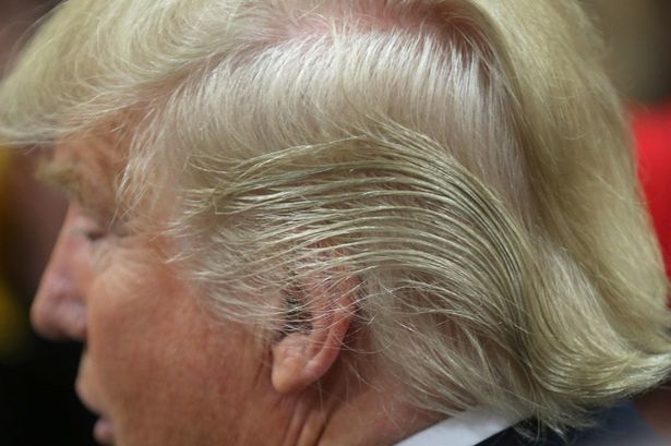 Sự thật về mái tóc kì lạ của Donald Trump - 2