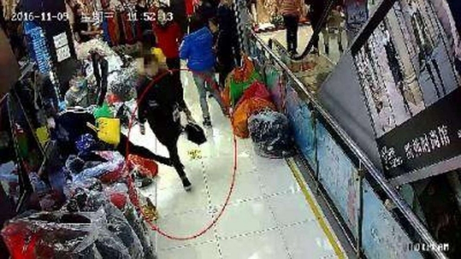 Ăn cắp áo, thấy màu không hợp bèn ngang nhiên mang đổi - 1