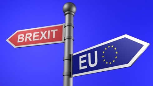 eu cac cuoc dam phan brexit se keo dai hon 2 nam hinh 1