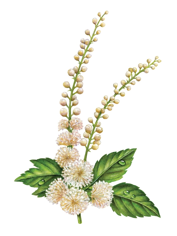 Bốc hỏa ở phụ nữ mãn kinh
