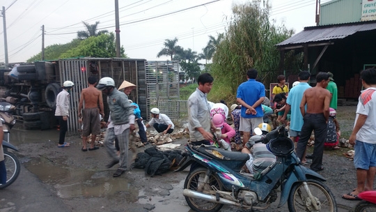 Hàng trăm người phụ gom vịt và mua lại những con vịt đã chết để hỗ trợ chủ nuôi