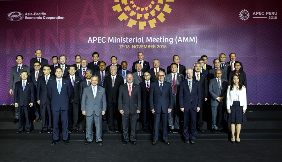 Chu tich nuoc Tran Dai Quang den Peru du hoi nghi APEC 2016 hinh anh 7