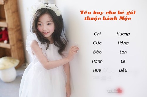 dat ten cho con sinh nam dinh dau 2017 hop voi phong thuy - 2
