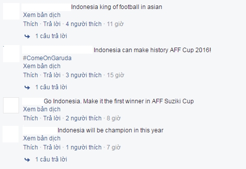 Indonesia duoc danh gia cao hon ca Viet Nam va Thai Lan hinh anh 2