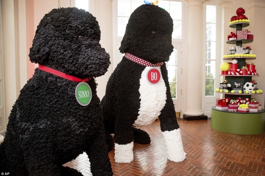 Nha Trang ron rang Giang sinh cuoi cung cua gia dinh Obama hinh anh 9