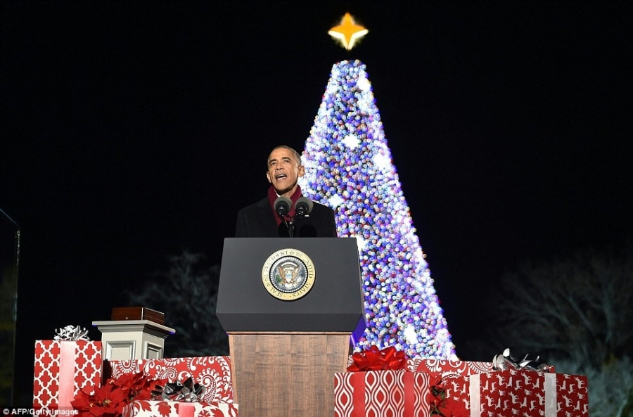 Gia dinh Obama thap sang cay thong Noel mung Giang sinh hinh anh 6