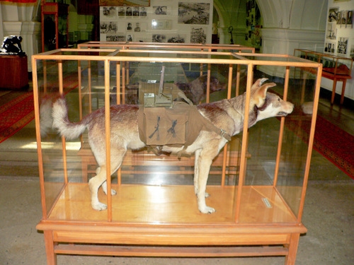 cho-chong-tang-vu-khi-dang-so-trong-the-chien-ii-1