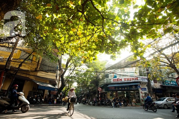 du bao thoi tiet hom nay (3.12): bac bo nang dep, mien trung mua to hinh anh 1