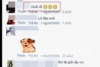 Hạ Vi 3
