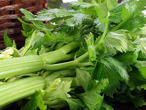 cuu chong thoat canh “som het tien” vo can cho chong an ngay nhung thu nay - 11
