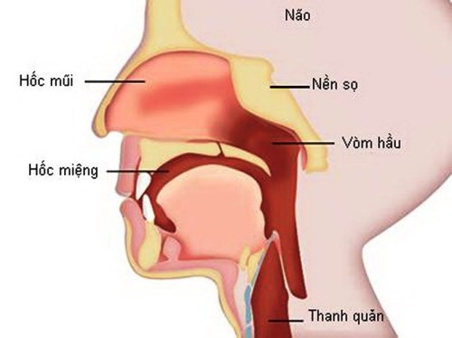 cach-nhan-biet-som-cac-loai-ung-thu-dau-co