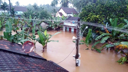 2 dot lu trong 1 tuan: nguoi binh dinh kiet suc hinh anh 3