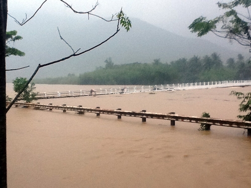 2 dot lu trong 1 tuan: nguoi binh dinh kiet suc hinh anh 5