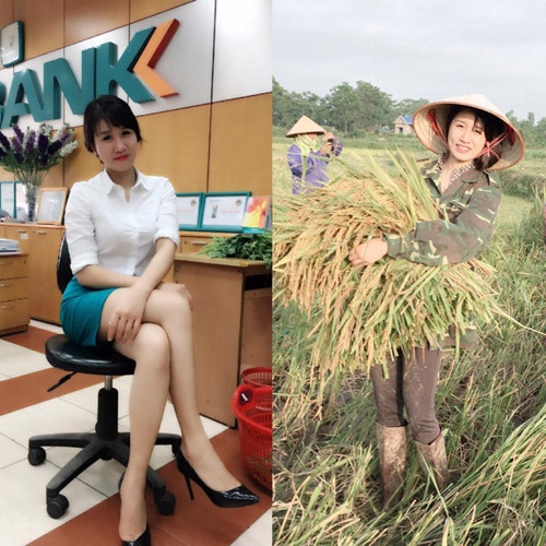  Cô gái Thái Nguyên xinh đẹp trong bức hình gặt lúa 