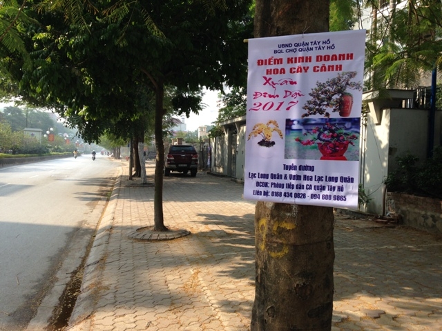 dan dua nhau choan via he ban dao tet hinh anh 7