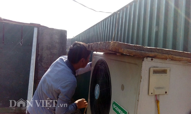 dung dieu hoa… u dao cho bung dip tet hinh anh 5