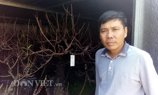 dung dieu hoa… u dao cho bung dip tet hinh anh 6