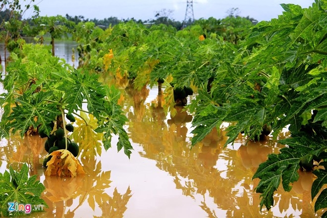 Thuy dien dong loat xa lu, nhieu noi o Quang Nam ngap sau hinh anh 3