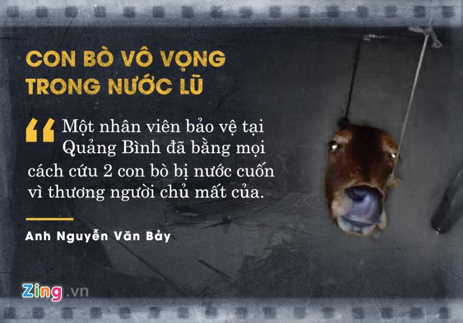7 cau chuyen ve tinh nguoi lay nuoc mat dan mang nam 2016 hinh anh 7