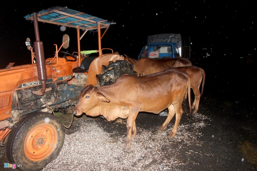 Dan Quang Nam trang dem chay lu hinh anh 7