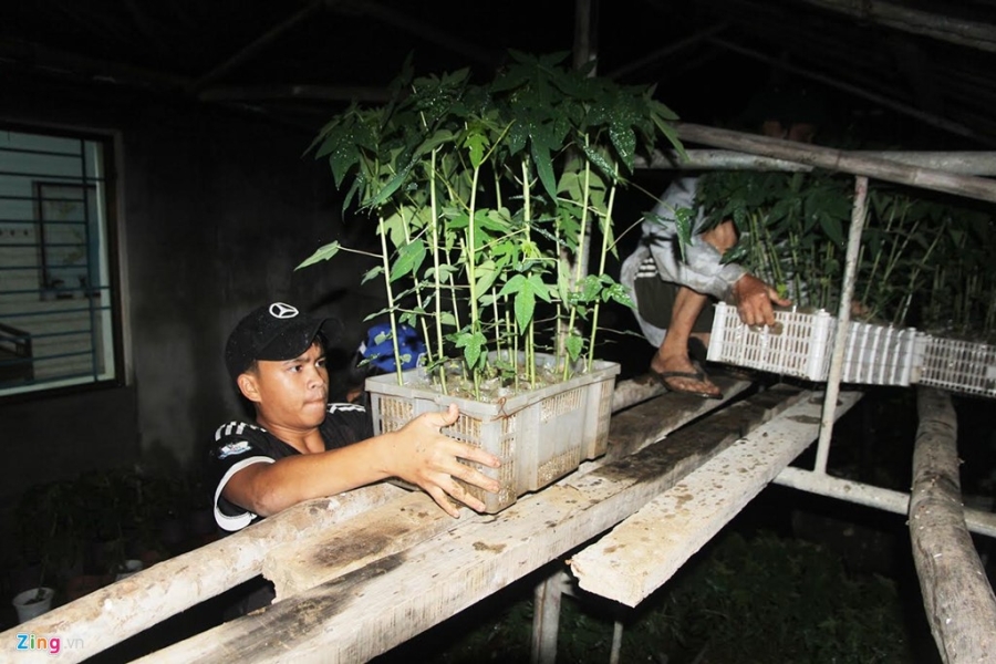 Dan Quang Nam trang dem chay lu hinh anh 8