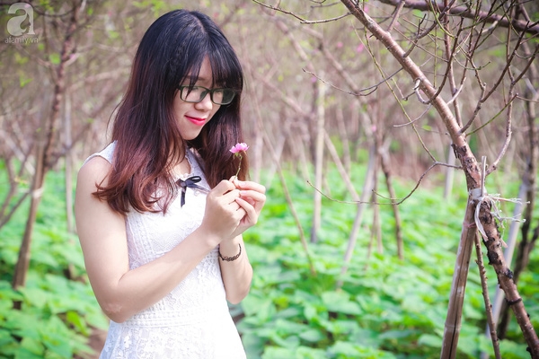 Tết gần đến, các cô nàng khấp khởi khoe sắc ngọt ngào cùng hoa đào nở sớm - Ảnh 12.