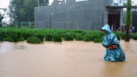 Kết quả hình ảnh cho 24 người chết, 2 người mất tích do mưa lũ