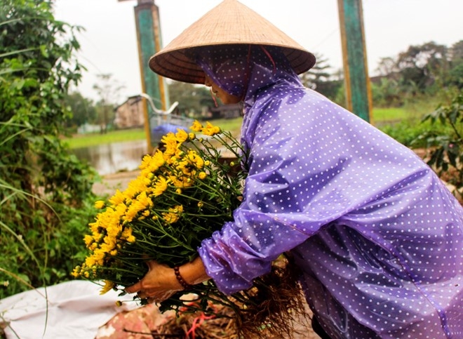 Lo hoa chet sau lu, nong dan nho ban thao mong go von hinh anh 1