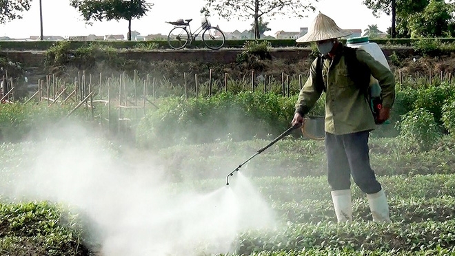 Chuyên gia chỉ rõ 3 nguồn chất độc khiến thực phẩm có thể gây ung thư - Ảnh 2.