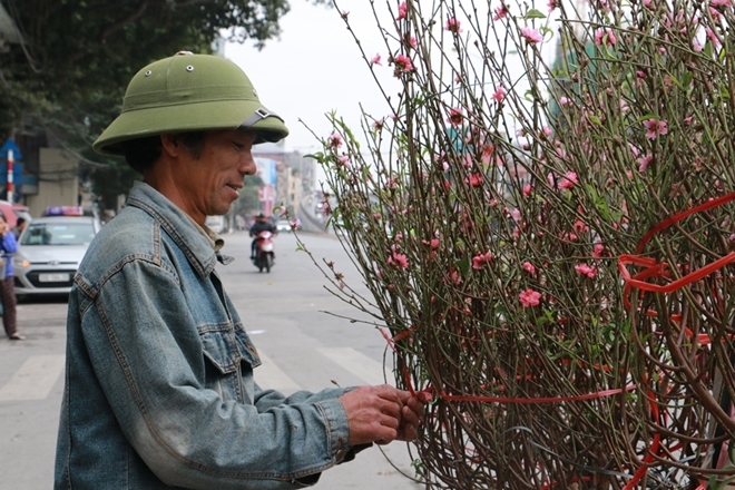 Đào Nhật Tân rực rỡ xuống phố đón Tết sớm - Ảnh 4.