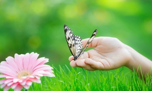 Xót lòng khi biết quá khứ đắng cay của chị tôi