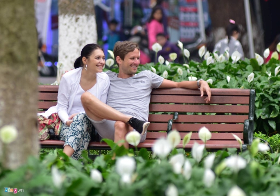 Pho phuong Sai Gon, Ha Noi chieu cuoi nam 2016 hinh anh 11