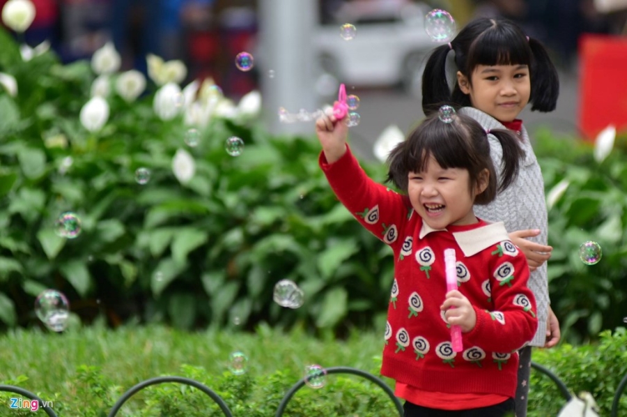 Pho phuong Sai Gon, Ha Noi chieu cuoi nam 2016 hinh anh 14