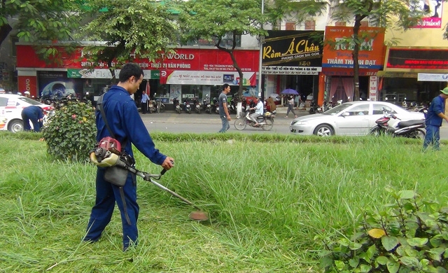  Công nhân cắt cỏ dại cao ngập gối trên đường Trần Duy Hưng 