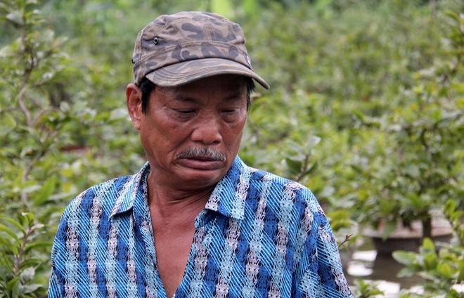 Hang nghin goc mai Tet ngap nuoc, nong dan Sai Gon than troi hinh anh 3