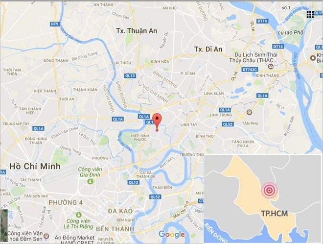 Hang nghin goc mai Tet ngap nuoc, nong dan Sai Gon than troi hinh anh 4