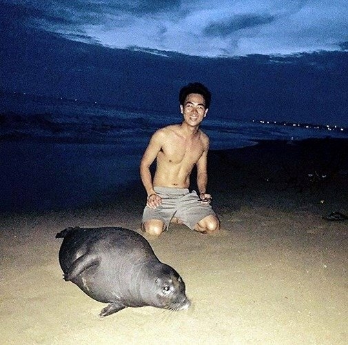 Hải cẩu bị đánh chết và nỗi oan của người dân Phan Rí Cửa