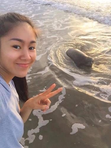 Hải cẩu bị đánh chết và nỗi oan của người dân Phan Rí Cửa