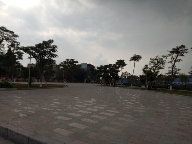  Công viên cây xanh Tam Bạc - nơi hai cây quý bị chặt hạ 