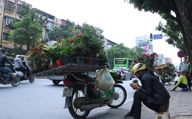  Không chỉ có ô tô dừng đỗ trái phép gây cản trở giao thông, một số hàng rong hoa quả, cây cảnh cồng kềnh cũng dừng bán hàng ngay bên đường, chiếm gần hết một làn xe. 