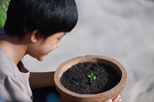 2016, bạn có thể đã bỏ qua những hình ảnh này