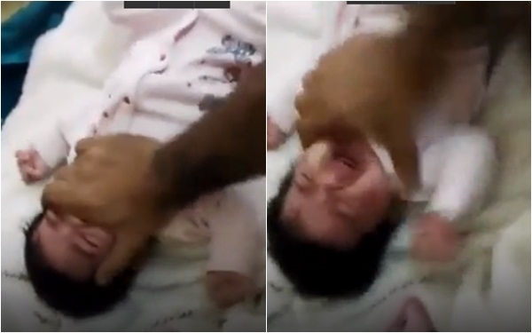 Clip sốc: Cha hành hạ con gái, gửi clip đe dọa để vợ cũ quay về gây rúng động dư luận - Ảnh 1.