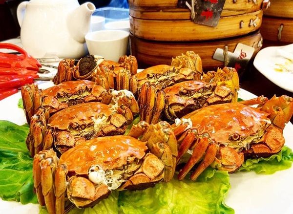 chuyen-di-thuong-hai-sang-chanh-cua-ngoc-trinh-va-gia-dinh-nguoi-tinh-ty-phu-22