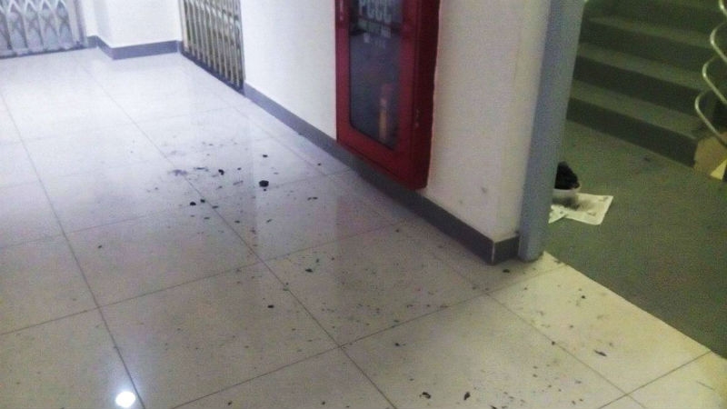 Lời khai thiếu niên giết nữ sinh, giấu xác trong thùng xốp