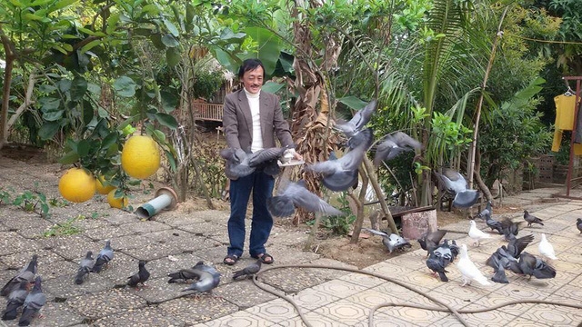 Nghệ sĩ Giang còi chia sẻ, nhà trồng rất nhiều loại cây ăn quả và anh vui thú với việc trồng cây.