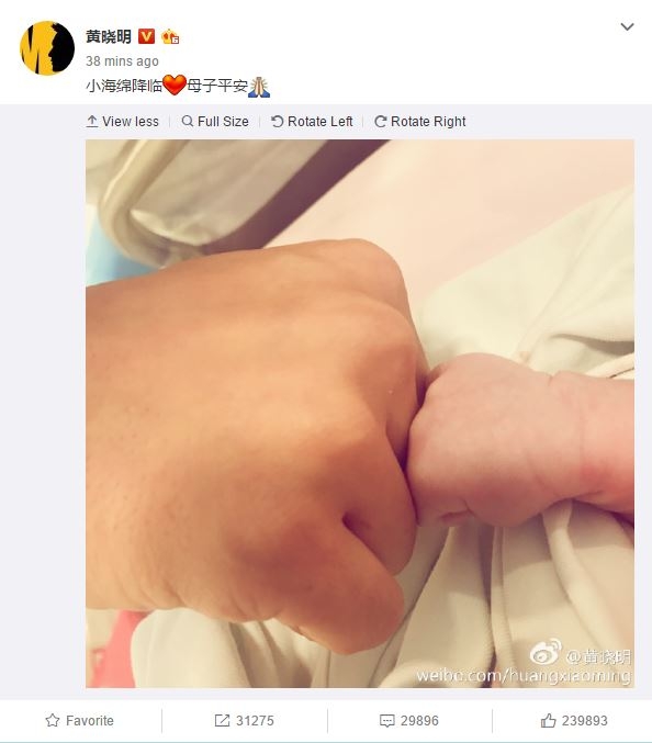 Đây là hình ảnh đầu tiên về quý tử nhà Angela Baby - Huỳnh Hiểu Minh - Ảnh 3.